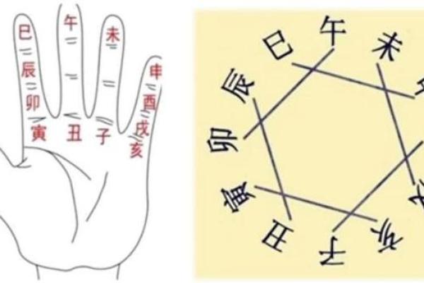 六月寅时出生属牛:探秘独特命理与精彩人生 六月寅时出生属牛:探秘独特命理与精彩人生
