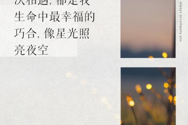 乐在其中,寻求心灵的和谐与幸福 乐在其中,寻求心灵的和谐与幸福