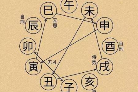 命局解析：两子刑一卯的深刻含义与人生启示