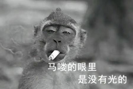 牛马命格的深意：解析命理背后的生活智慧与哲学
