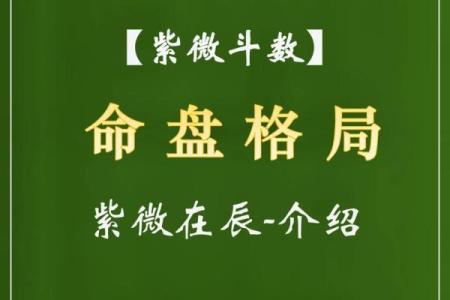 流年命盘解析：揭示男命运势的神秘之旅