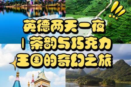 路易的第九条命：女主角的奇幻冒险之旅
