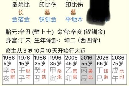 六十三岁属鼠的命理解析与人生智慧