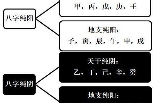 揭开男命纯阴的神秘面纱:命理与人生的深刻探讨 揭开男命纯阴的神秘面纱:命理与人生的深刻探讨