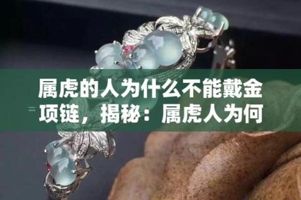 六二年出生的虎,在命理上有什么独特之处? 六二年出生的虎,在命理上有什么独特之处?