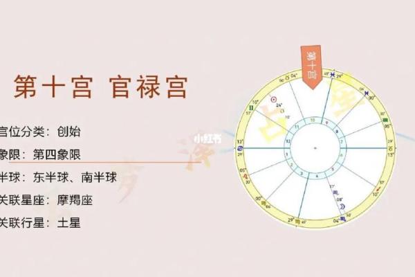 命格夫妻宫的位置与爱情命运的深度解析 命格夫妻宫的位置与爱情命运的深度解析