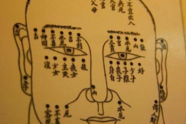 女命食神为儿子的深层解析:福泽与命运的交织之旅 女命食神为儿子的深层解析:福泽与命运的交织之旅