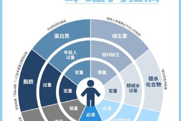 命理探秘:揭开坐宫入命的奥秘与影响 命理探秘:揭开坐宫入命的奥秘与影响