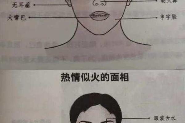 面相学揭秘:旺夫命的特征与判断方法 面相学揭秘:旺夫命的特征与判断方法
