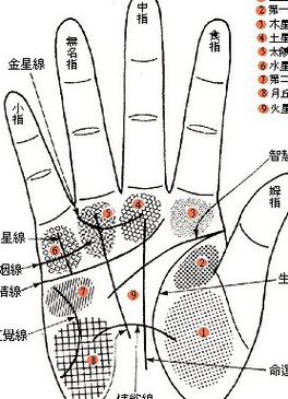 女人小拇指短的命理解析:与运势、性格和人际关系的微妙关系 女人小拇指短的命理解析:与运势、性格和人际关系的微妙关系