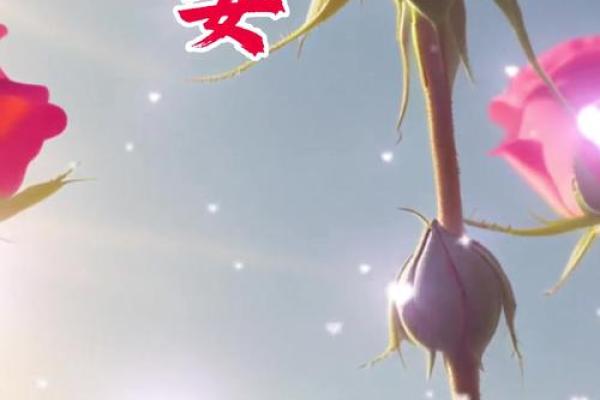 六月六日出生女孩的命运与性格解析——神秘而迷人的人生旅程 六月六日出生女孩的命运与性格解析——神秘而迷人的人生旅程