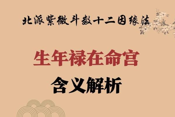命盘中的禄权之解读:揭示命运与事业的双重力量 命盘中的禄权之解读:揭示命运与事业的双重力量