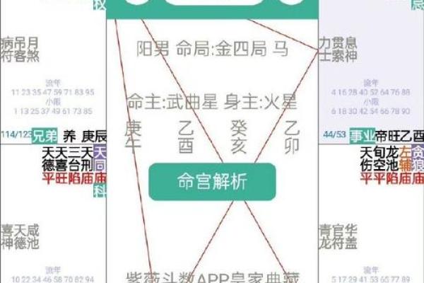 命盘中的禄权之解读:揭示命运与事业的双重力量 命盘中的禄权之解读:揭示命运与事业的双重力量