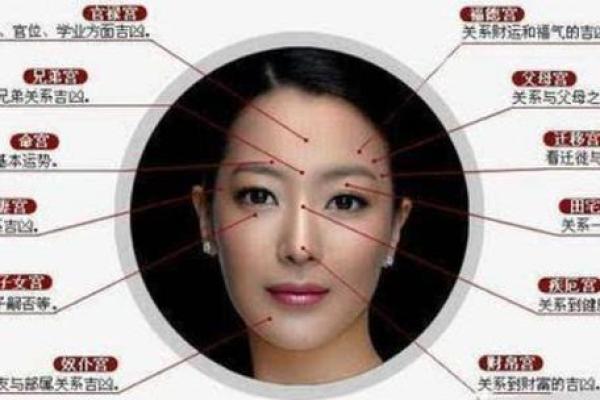 脸上没肉的人,命运真的与众不同吗?解读面相背后的深层意义 脸上没肉的人,命运真的与众不同吗?解读面相背后的深层意义