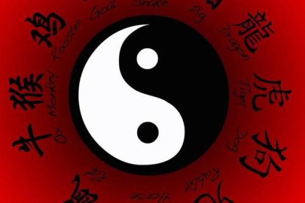 女命申的命理解析:揭秘五行背后的奥秘与人生运势 女命申的命理解析:揭秘五行背后的奥秘与人生运势