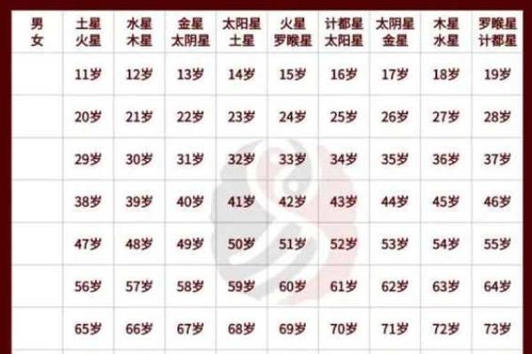 命主富元:探寻命理背后的财富与人生智慧 命主富元:探寻命理背后的财富与人生智慧