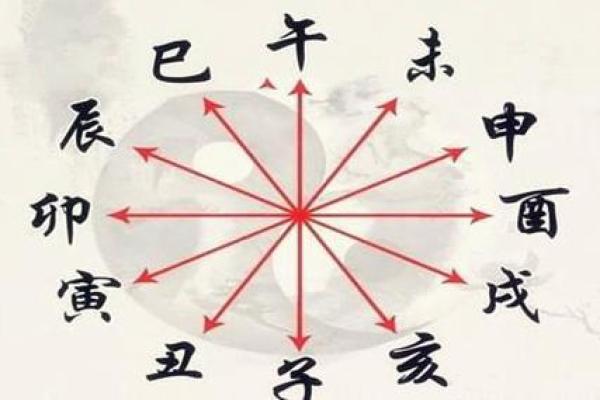 论“地支一巳命”的多重含义与人生启示 论“地支一巳命”的多重含义与人生启示