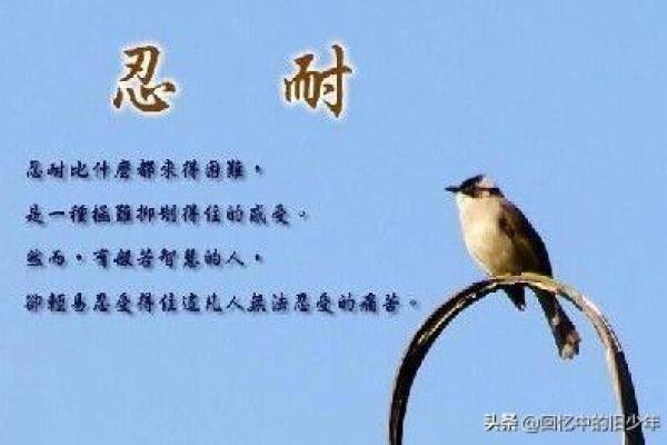 没人疼是什么命?从内心开始的自我解救与智慧化解 没人疼是什么命?从内心开始的自我解救与智慧化解