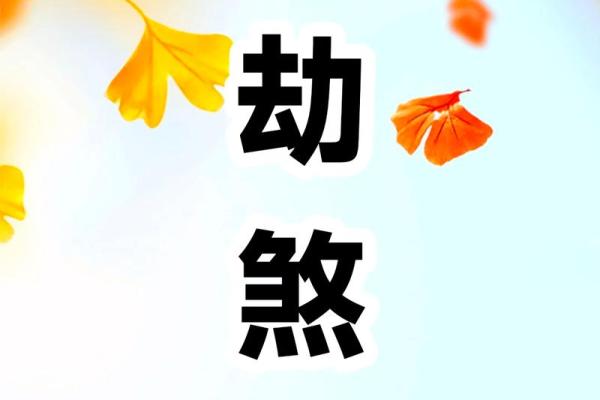 命逢劫煞的深刻解读与人生启示,掌握命理智慧! 命逢劫煞的深刻解读与人生启示,掌握命理智慧!