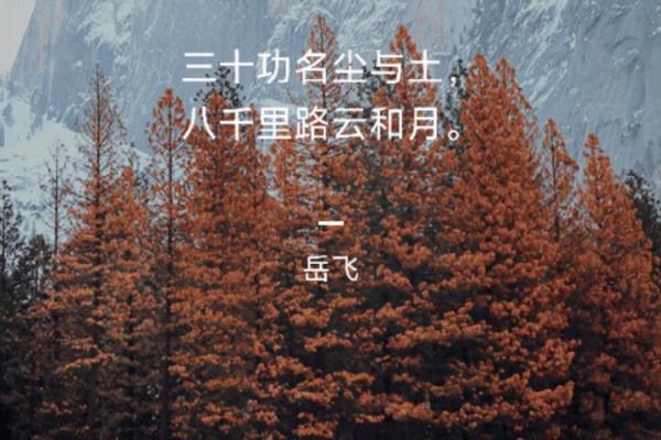 明知的命:在命运与选择之间找到自我价值的真谛 明知的命:在命运与选择之间找到自我价值的真谛
