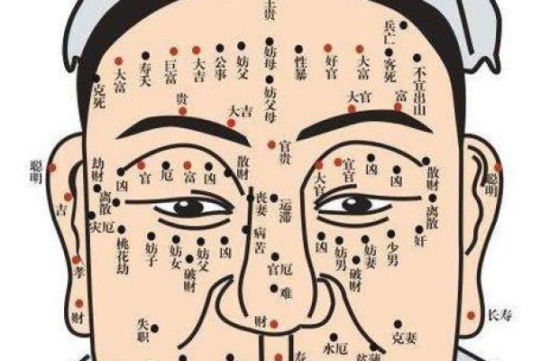 卯时出生的女性命运:探索命理与性格的深度解析 卯时出生的女性命运:探索命理与性格的深度解析