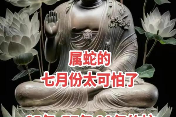 六五年属蛇的命运与性格解读:知晓你的命,活得更加从容自信! 六五年属蛇的命运与性格解读:知晓你的命,活得更加从容自信!