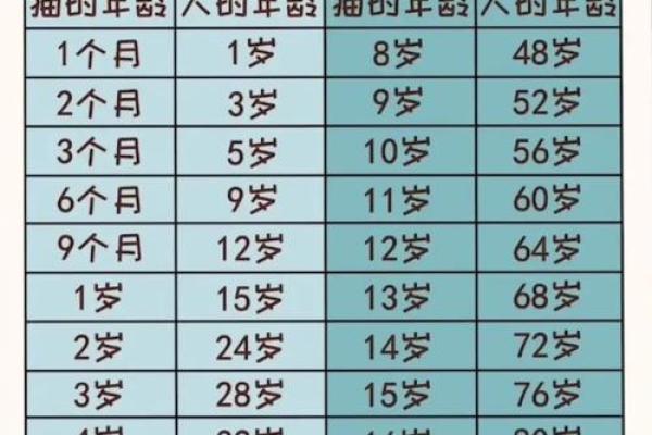 猫受伤时为何要救人类的生命?这些故事告诉你真相! 猫受伤时为何要救人类的生命?这些故事告诉你真相!