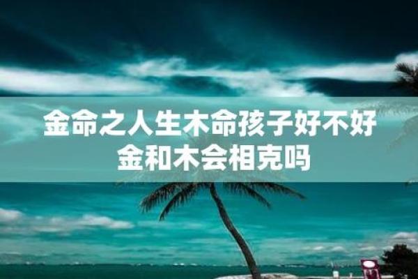 探寻木命男的独特魅力与个性特征 探寻木命男的独特魅力与个性特征