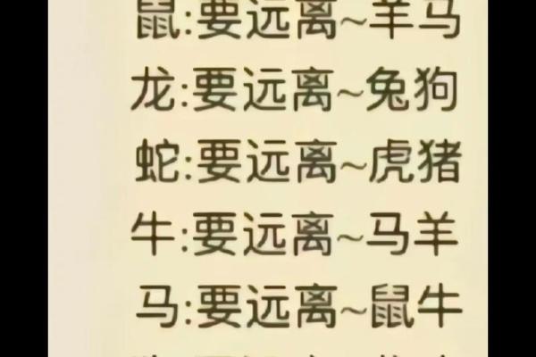 明年兔年属蛇的人运势解析:从命理看未来运程的转变 明年兔年属蛇的人运势解析:从命理看未来运程的转变