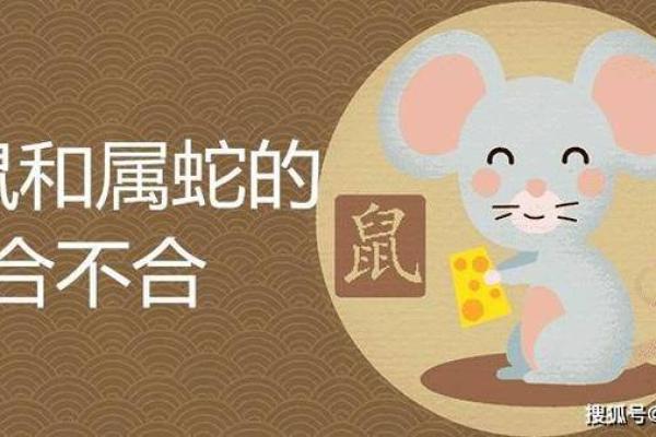 明年兔年属蛇的人运势解析:从命理看未来运程的转变 明年兔年属蛇的人运势解析:从命理看未来运程的转变