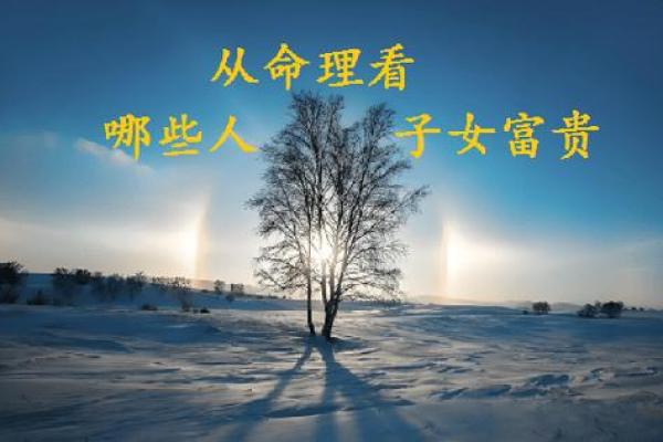 木命者适合寻觅什么命格的伴侣? 木命者适合寻觅什么命格的伴侣?