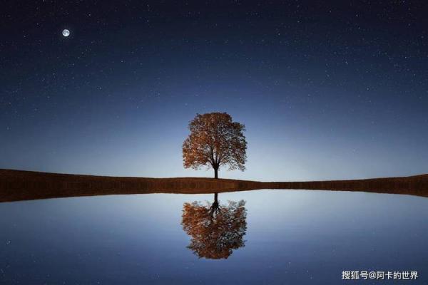 命不老实的深刻意义:生活中的真实与自我探索 命不老实的深刻意义:生活中的真实与自我探索