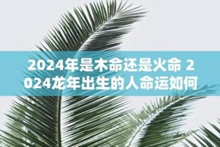 霹雳火命与不同命理的奇妙配对，探索命运的碰撞与交汇