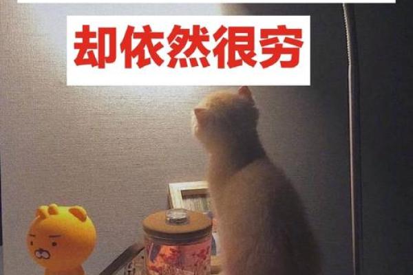 拼了命存钱,为什么我们依然这么穷?揭示背后的真相! 拼了命存钱,为什么我们依然这么穷?揭示背后的真相!