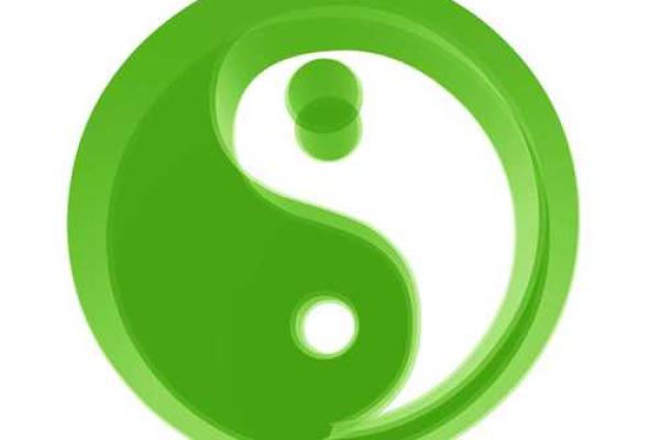 林黛玉,命运的童子命与她的悲情人生之旅 林黛玉,命运的童子命与她的悲情人生之旅