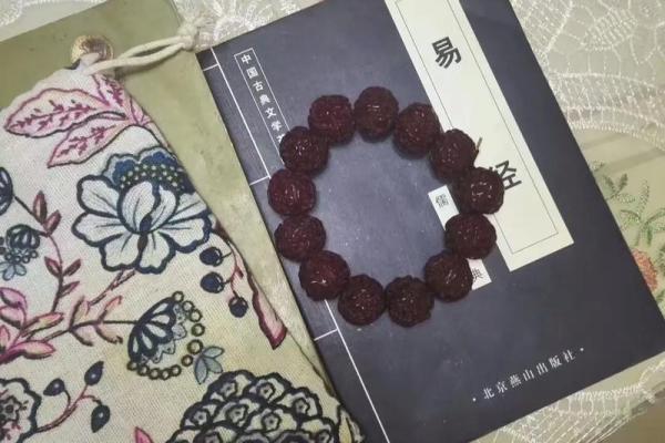 命贵与贵命:探寻生命价值的不同维度 命贵与贵命:探寻生命价值的不同维度