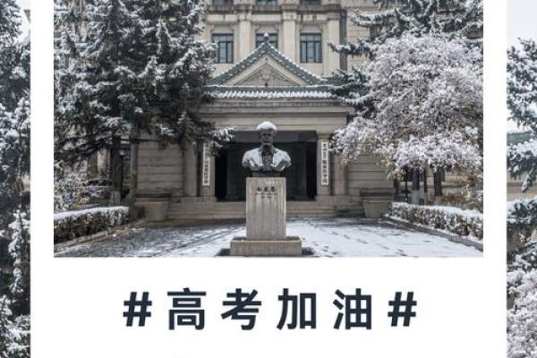 男海中金命:最佳配对与运势解析,助你人生更辉煌! 男海中金命:最佳配对与运势解析,助你人生更辉煌!
