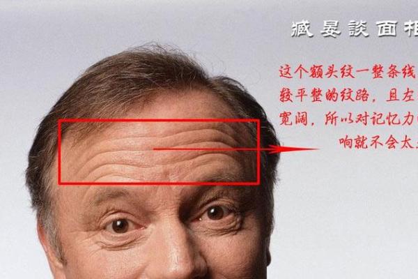 男人额头分析:从面相看你的命运走向与人生轨迹 男人额头分析:从面相看你的命运走向与人生轨迹