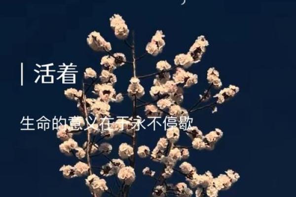 留给自己半条命:生命的真正意义与追寻之旅 留给自己半条命:生命的真正意义与追寻之旅