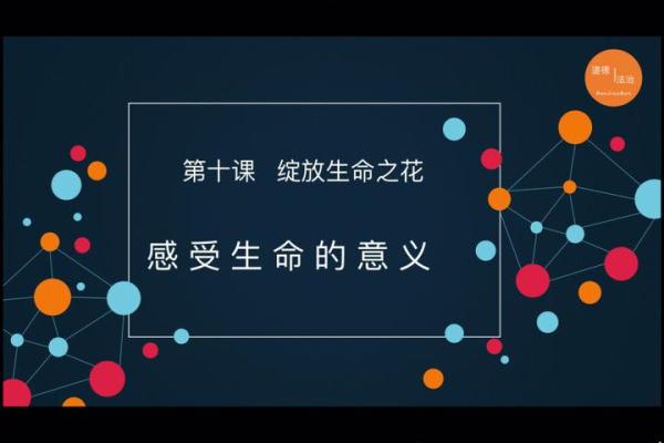 留给自己半条命:生命的真正意义与追寻之旅 留给自己半条命:生命的真正意义与追寻之旅