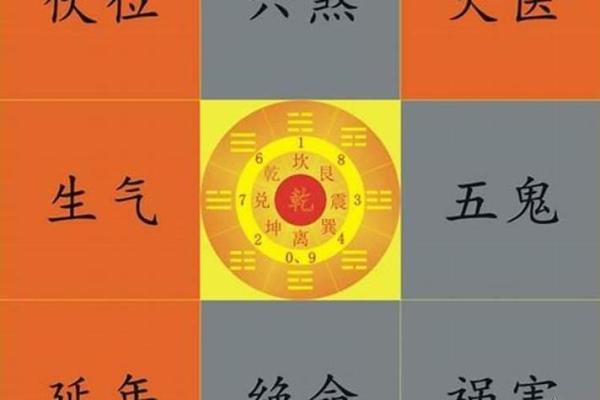 了解坤命东四命:揭示命理中的奥秘与真实 了解坤命东四命:揭示命理中的奥秘与真实