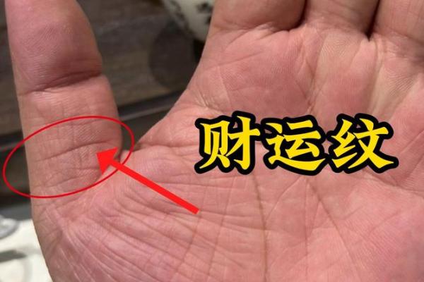 从木命看财运:忌讳命格对财富的影响与解析 从木命看财运:忌讳命格对财富的影响与解析