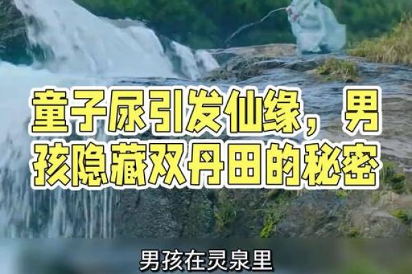 探秘命理中的“童子”寓意与影响,揭示隐藏在命盘背后的秘密 探秘命理中的“童子”寓意与影响,揭示隐藏在命盘背后的秘密