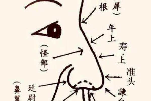 眉毛长痣:揭示你的人生命运与性格特点 眉毛长痣:揭示你的人生命运与性格特点