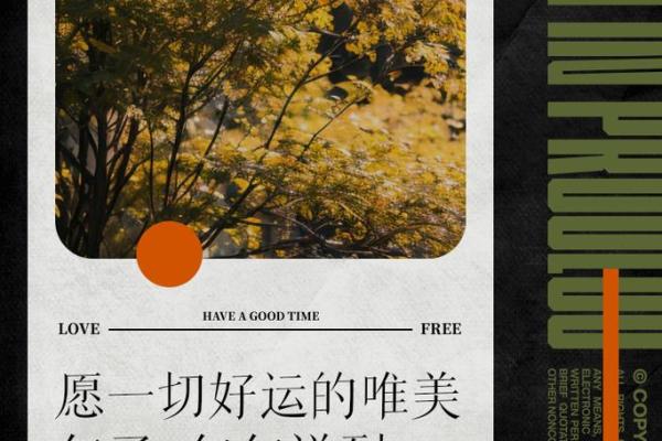 六月份出生的你,注定好运相随,命运之路绚丽多姿! 六月份出生的你,注定好运相随,命运之路绚丽多姿!