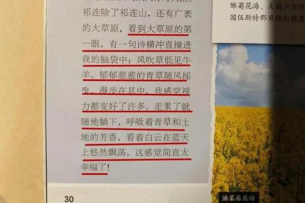 探秘决明子的土命:自然与能量的奇妙结合 探秘决明子的土命:自然与能量的奇妙结合