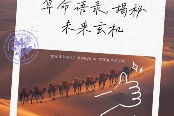 农历八月二十的命理解析:你是谁?命运的秘密揭晓! 农历八月二十的命理解析:你是谁?命运的秘密揭晓!