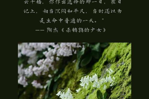 婚姻的命运:解密女孩们的爱情与未来故事 婚姻的命运:解密女孩们的爱情与未来故事