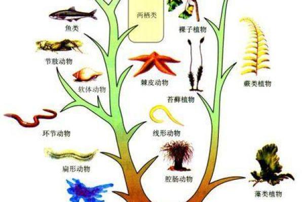 年命起源及其在命理中的重大作用解析 年命起源及其在命理中的重大作用解析