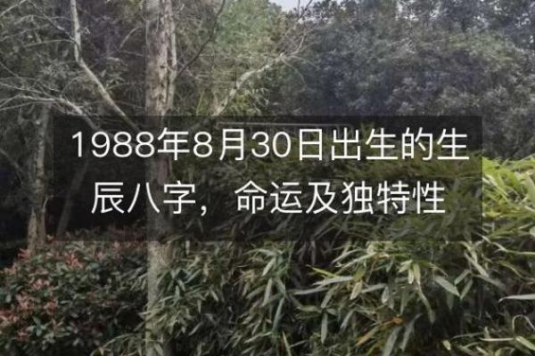 农历2014年9月出生的孩子,命理特点与未来发展探讨 农历2014年9月出生的孩子,命理特点与未来发展探讨